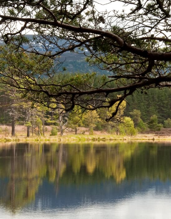 The River Spey